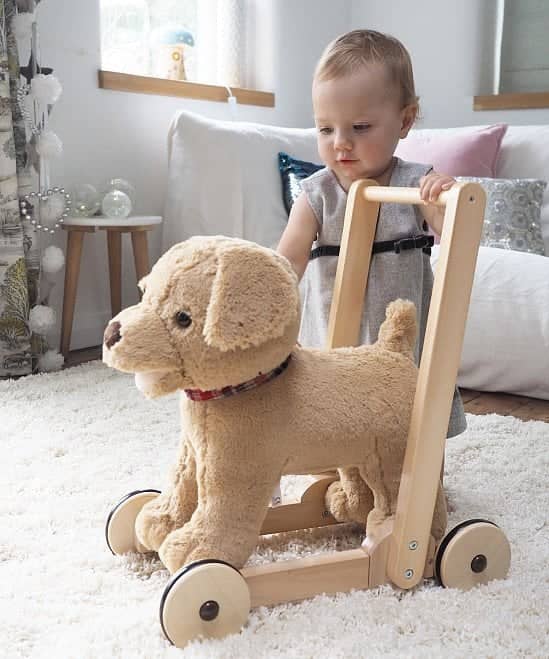 Labrador Ride On And Push Along Baby Walker