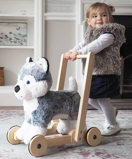 Husky Push Along Baby Walker