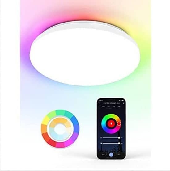 Alexa Smart LED Ceiling Light