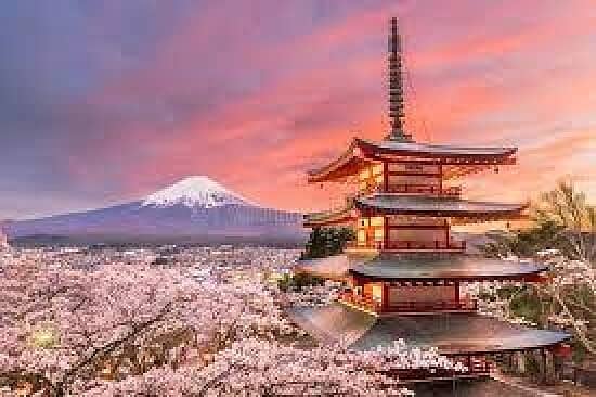 Japan Adventure 13 days Tokyo to Kyoto
