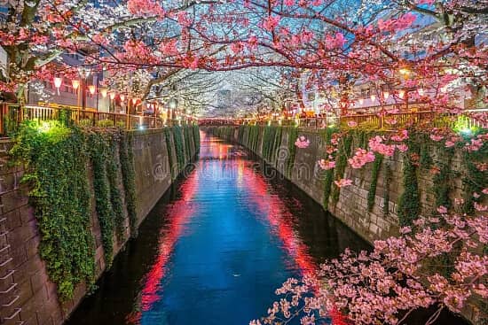 Japan special Group Tour