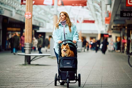 NEW for 2023! 10% off the InnoPet Premium Cozy Dog Pram