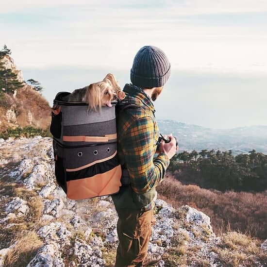 5% OFF any Pet Carrier