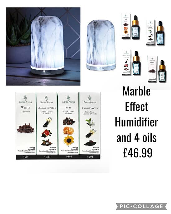 Marble Effect Humidifier and 4 oils £46.99