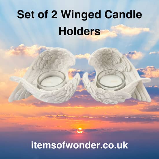 Set of 2 Winged Candle Holders