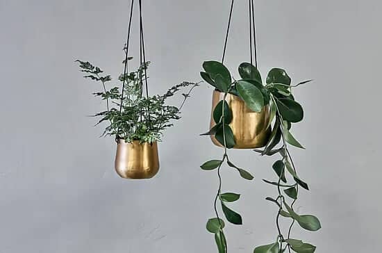 Bring a Touch of Elegance with the Atsu Brass Hanging Planter – Previously £25, Now Only £12.50!