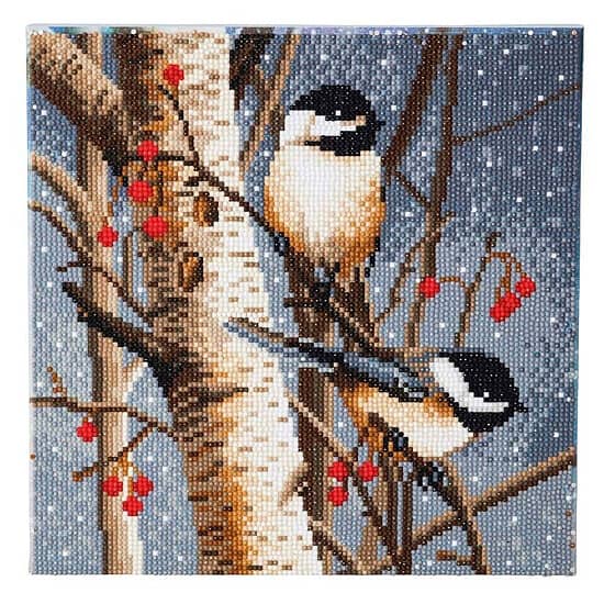 Crystal Art Woodland Sprites, 30x30cm Diamond Painting Kit