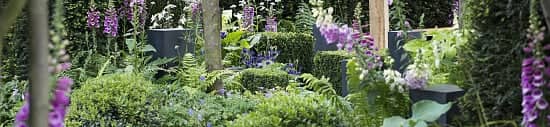 Experience the Blooming Beauty – The RHS Chelsea Flower Show! Get Your Tickets Now!