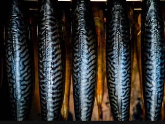 50 Dog biscuits Salmon Sardine and kelp buy 2 bags get 1 bag free