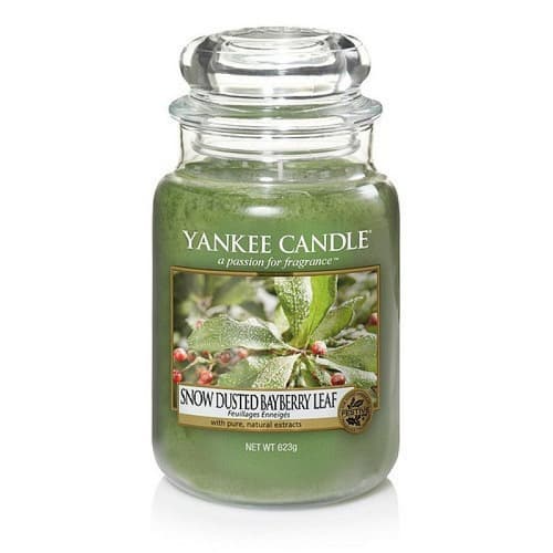 Snow-Dusted Bayberry Leaf - £23.99!