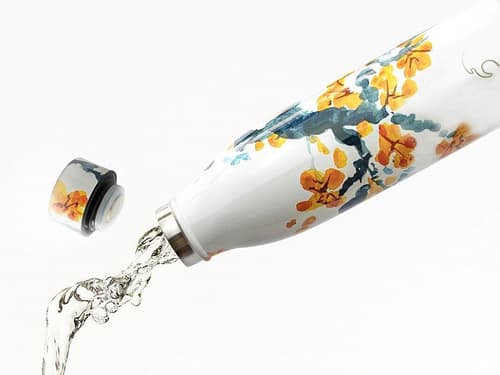 Ditch the plastic, We have Stainless Steel Eco-friendly sustainable water bottles
