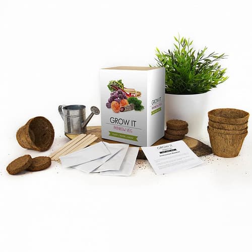 Father's Day Ideas - GROW IT RAINBOW VEG