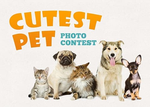 Win  mug  of your pet