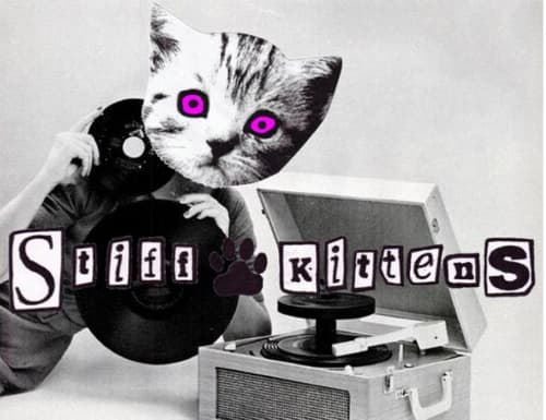 Stiff Kittens Record Day Special