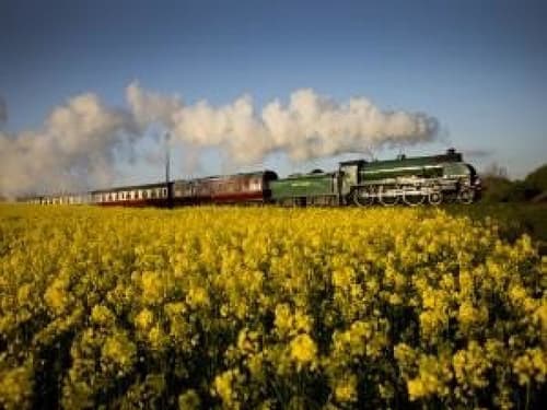 SANTA STEAM TRAINS AT GREAT CENTRAL RAILWAY