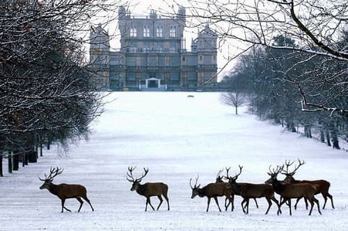 Christmas at Wollaton Hall