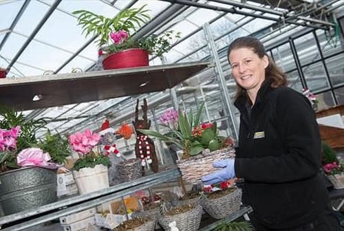 Woodthorpe Park Christmas Plant Shop