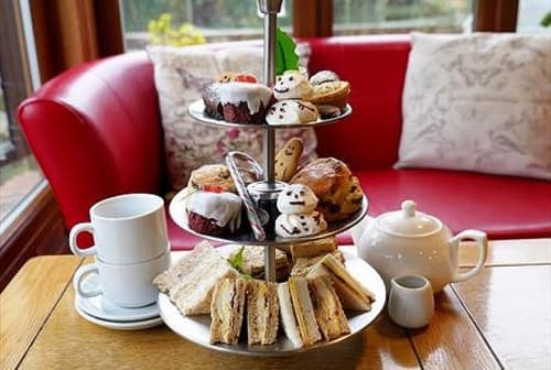 Christmas Afternoon Tea at The Tropical Butterfly House!