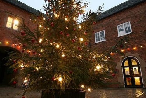 Sherwood Forest Tree Dressing & Christmas Lights Switch On