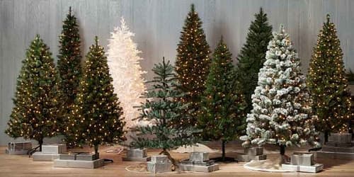 Hucknall Christmas Tree Festival