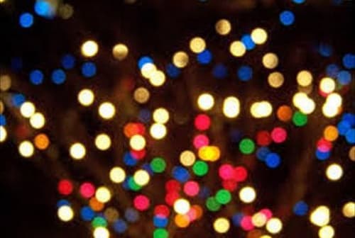 Christmas in the Arboretum