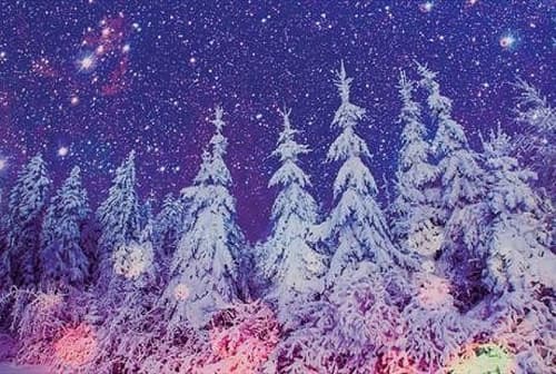 Nottingham Harmonic Choir Family Carol Concert