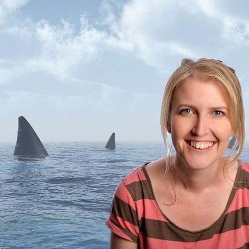 HEIDI VS SHARKS: WORK IN PROGRESS