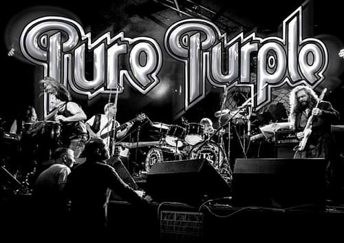 Pure Purple