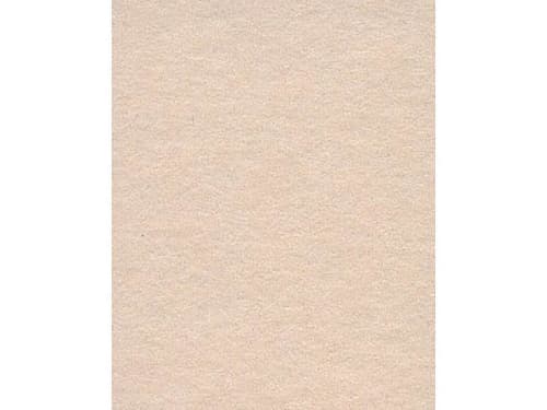 Seamless Paper Backdrop Background Rolls in UK