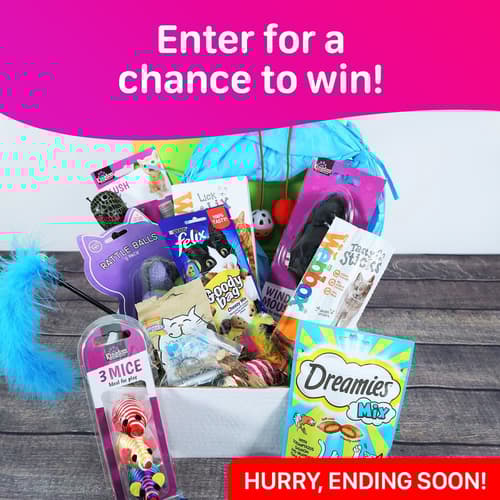 WIN this Luxury Cat Gift Box Hamper
