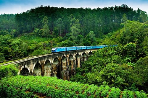 Sri Lanka Honeymoon Package 7 days