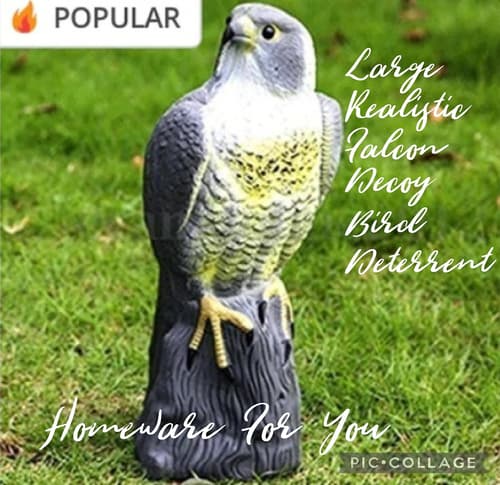 Large Realistic Falcon Decoy Bird Deterrent Full Bodied Bird Of Prey.