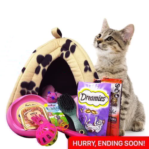 WIN the Ultimate Cat House Hamper