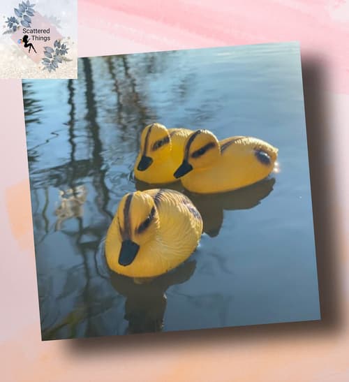 Yellow Ducklings (Set of 3) £11.58