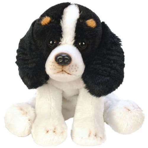 Sitting King Charles Spaniel Dog