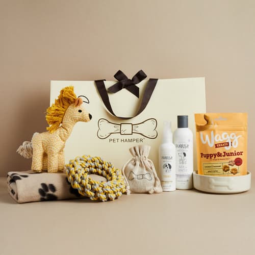 WIN this Luxury Dog Hamper