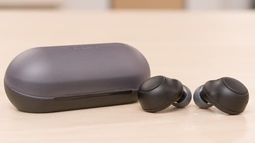 Immerse Yourself for Less: Save on Sony WF-C500 True Wireless Headphones!