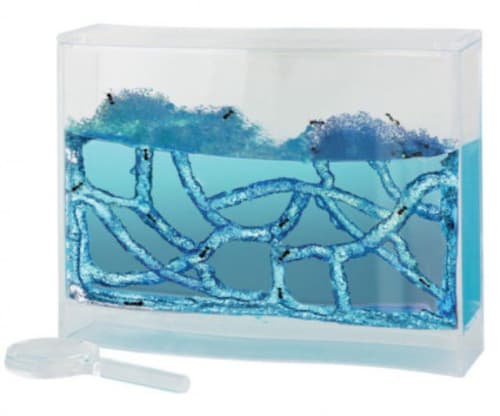 ANTQUARIUM - Was £30.00 - Now £14.99