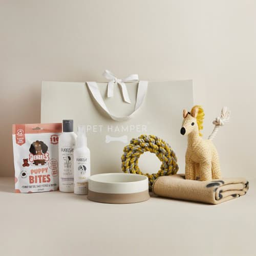 WIN this Luxury Dog Hamper