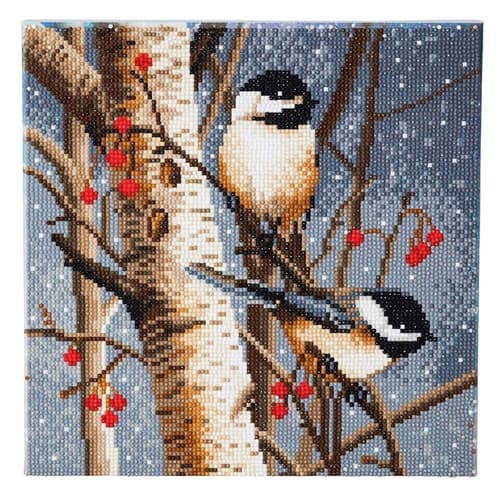 Crystal Art Woodland Sprites, 30x30cm Diamond Painting Kit