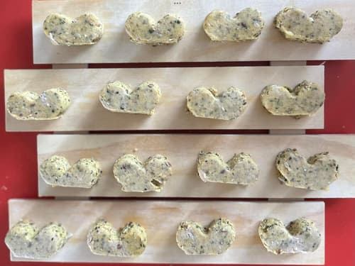 100 hypoallergenic dog biscuits grain free salmon & Pumpkin