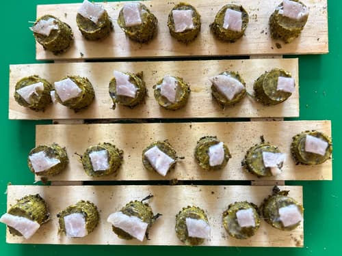 50 Diabetic dog biscuits bacon cheese & Turmeric buy 2 bags get 1 bag free