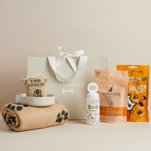 WIN this Luxury Kitten Hamper