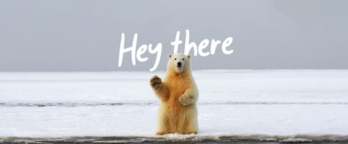 Message from Nature and Wildlife Sustainable Clothing