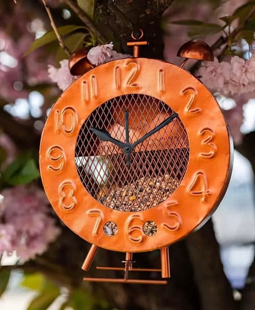 Copper Effect Novelty Clock Bird Feeder ยฃ24.99