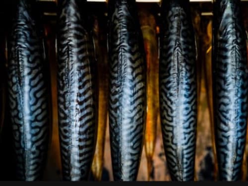 50 Dog biscuits Salmon Sardine and kelp buy 2 bags get 1 bag free