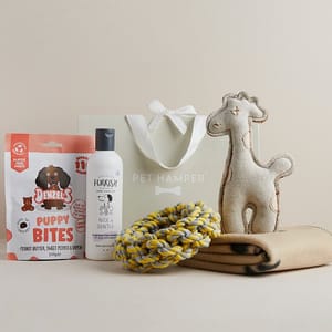 WIN this Luxury Original Dog Hamper