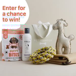 WIN this Luxury Original Dog Hamper