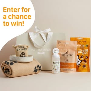 WIN this Luxury Original Cat Hamper