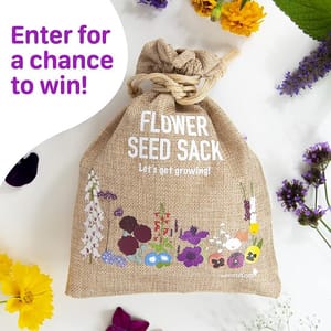 WIN this Seed Sack containing 30 Different Varieties of Flower Seeds